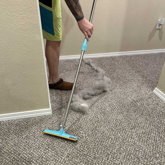 Pupclean™ - Cleaner Rake™ + FREE Brush