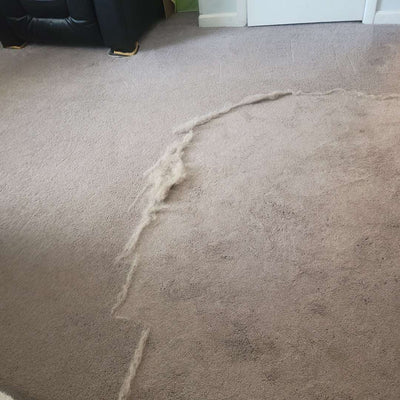 Pupclean™ - Cleaner Rake™ + FREE Brush