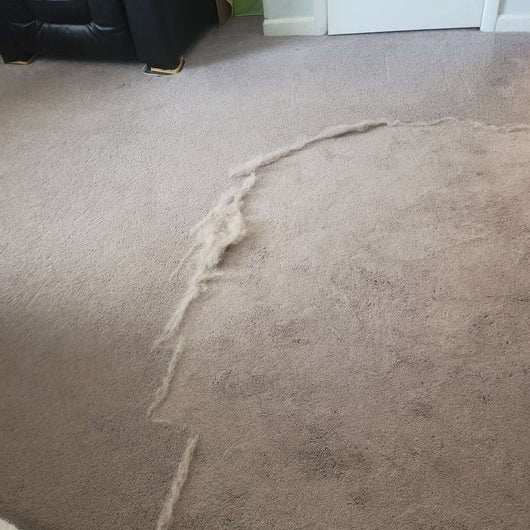 Pupclean™ - Cleaner Rake™ + FREE Brush