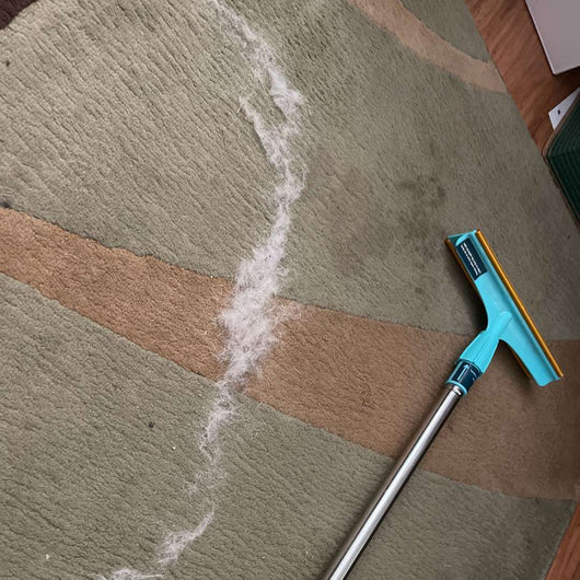 Pupclean™ - Cleaner Rake™ + FREE Brush