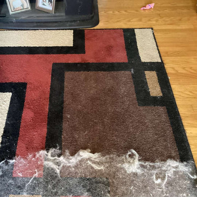 Pupclean™ - Cleaner Rake™ + FREE Brush